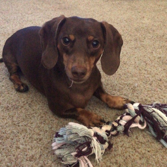 Meet your Posher, Jessica - Picture 2 of 2